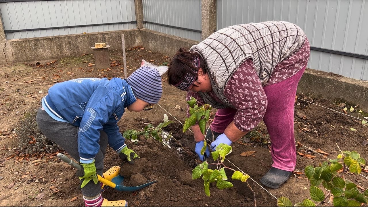 Three Generations vs. 150 Raspberry Bushes! Grandma’s Secret Clay Pot Recipe