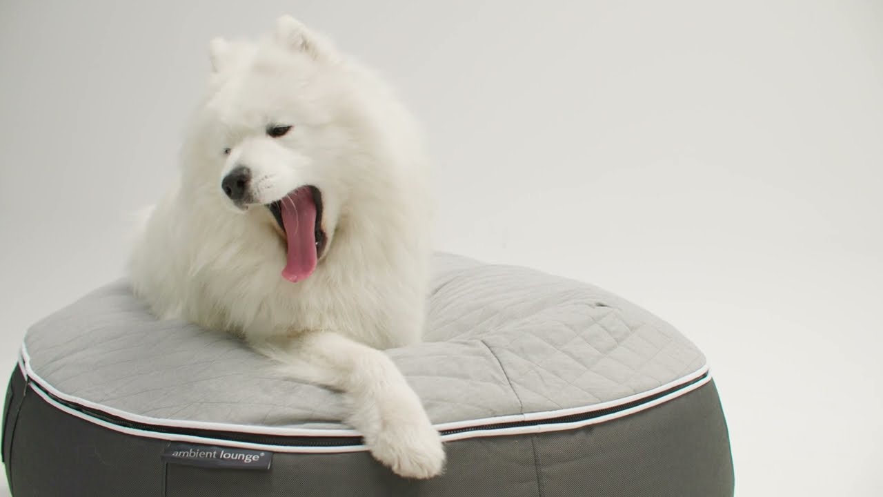 Canine Cloud 9  Luxury dog bed | ambient lounge
