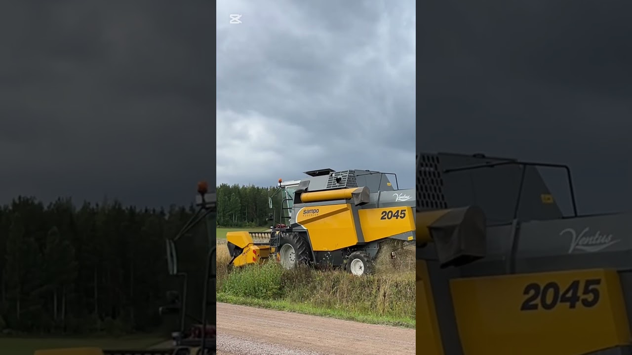 KAURAN PUINTI VIDEO JULKISENA!! Käy kattomassa