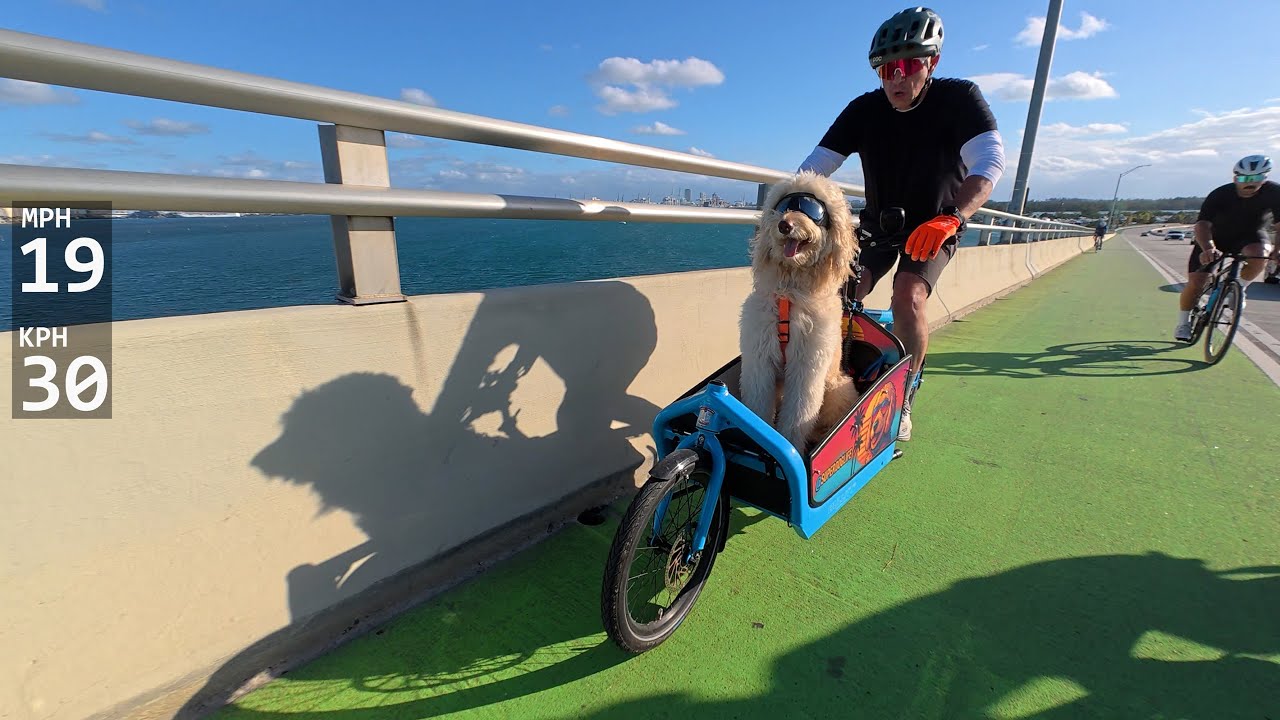 Miami Hammer Ride Sat. Nov. 29, 2025 - dog day mornings
