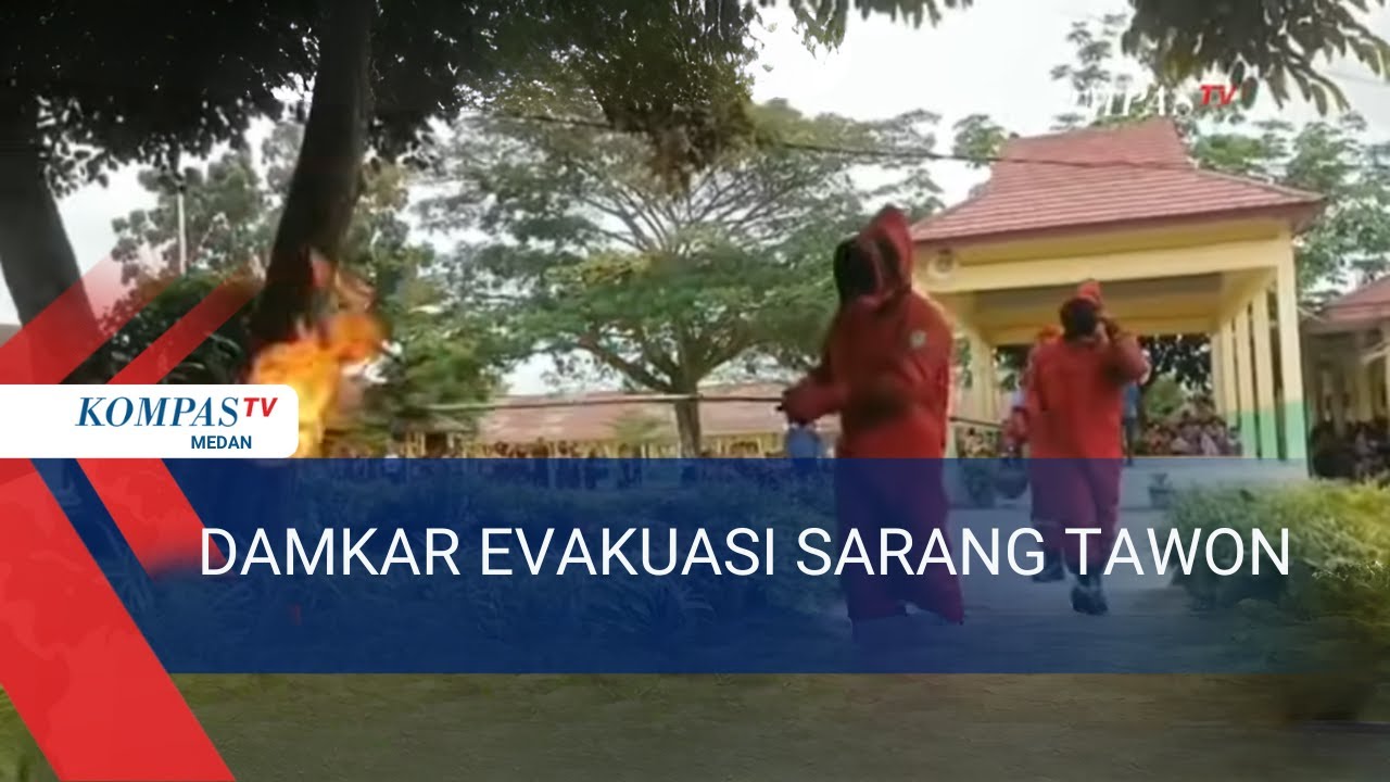 Damkar Evakuasi Sarang usai Dua Siswa Disengat