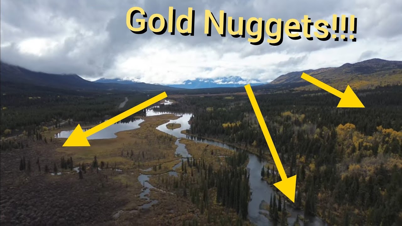 Atlin Gold Rush, Pine City BC - Prospecting For Gold Nuggets On Pine Creek & A Surprise Gold Rush