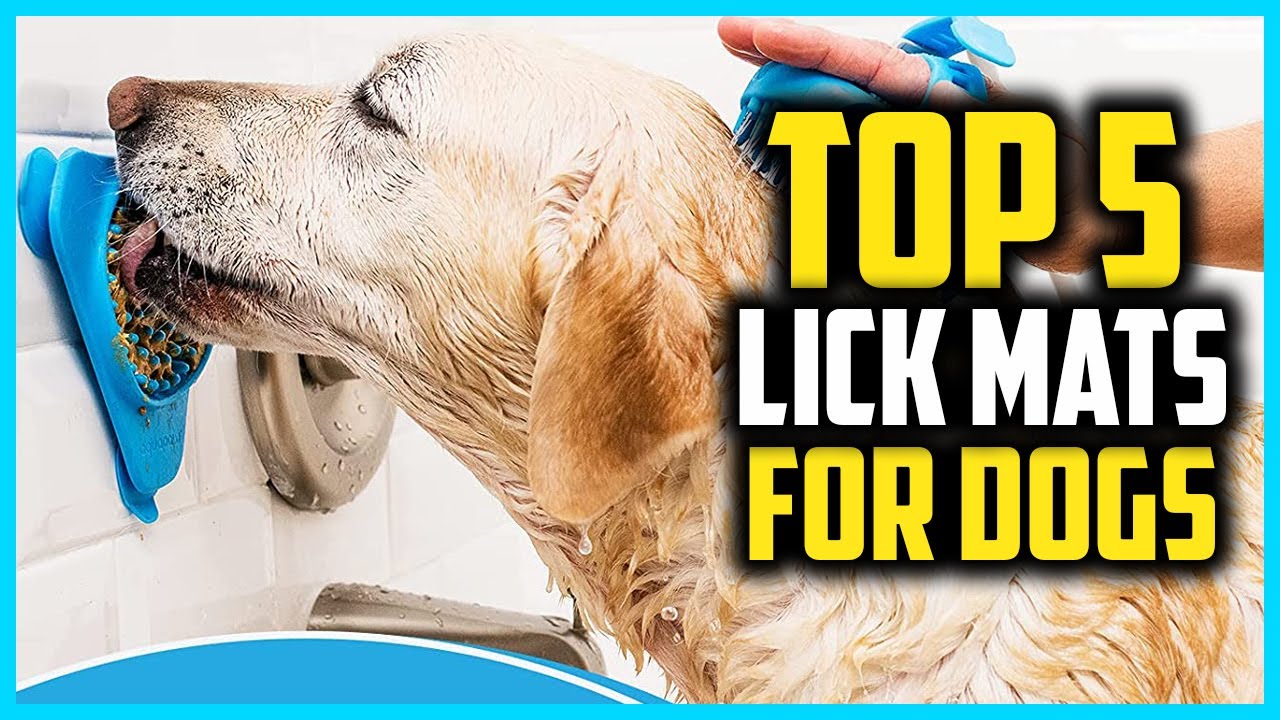 Top 5 Best Lick Mats for Dogs in 2024
