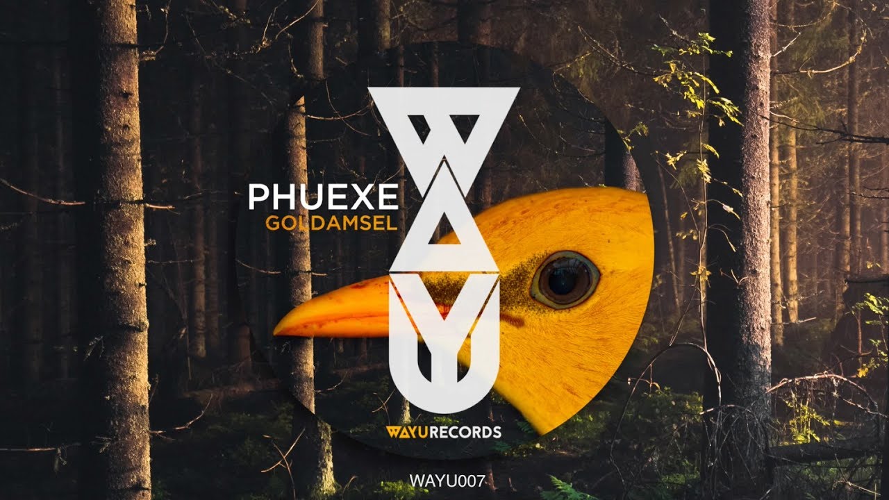 PHUEXE - Regentage (Original Mix)