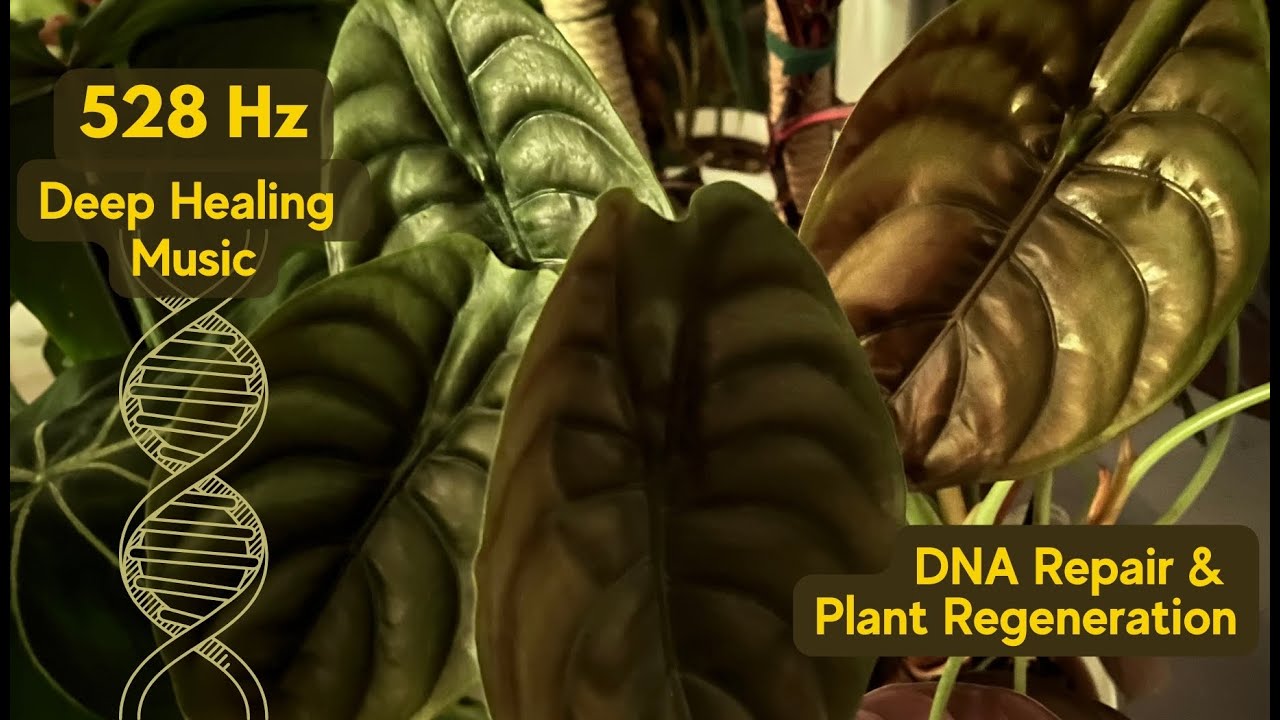528 Hz Deep Healing Music: DNA Repair for the Human Body & Plant Cell Regeneration