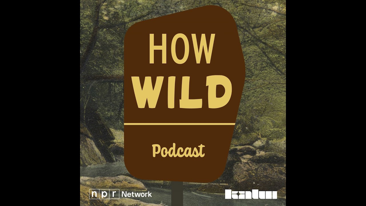 The Wild presents How Wild: Solitude
