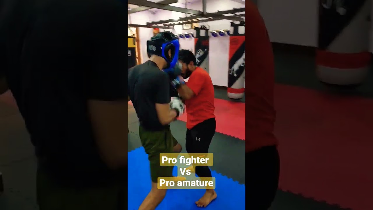 Pro Fighter VS Pro Amature. 