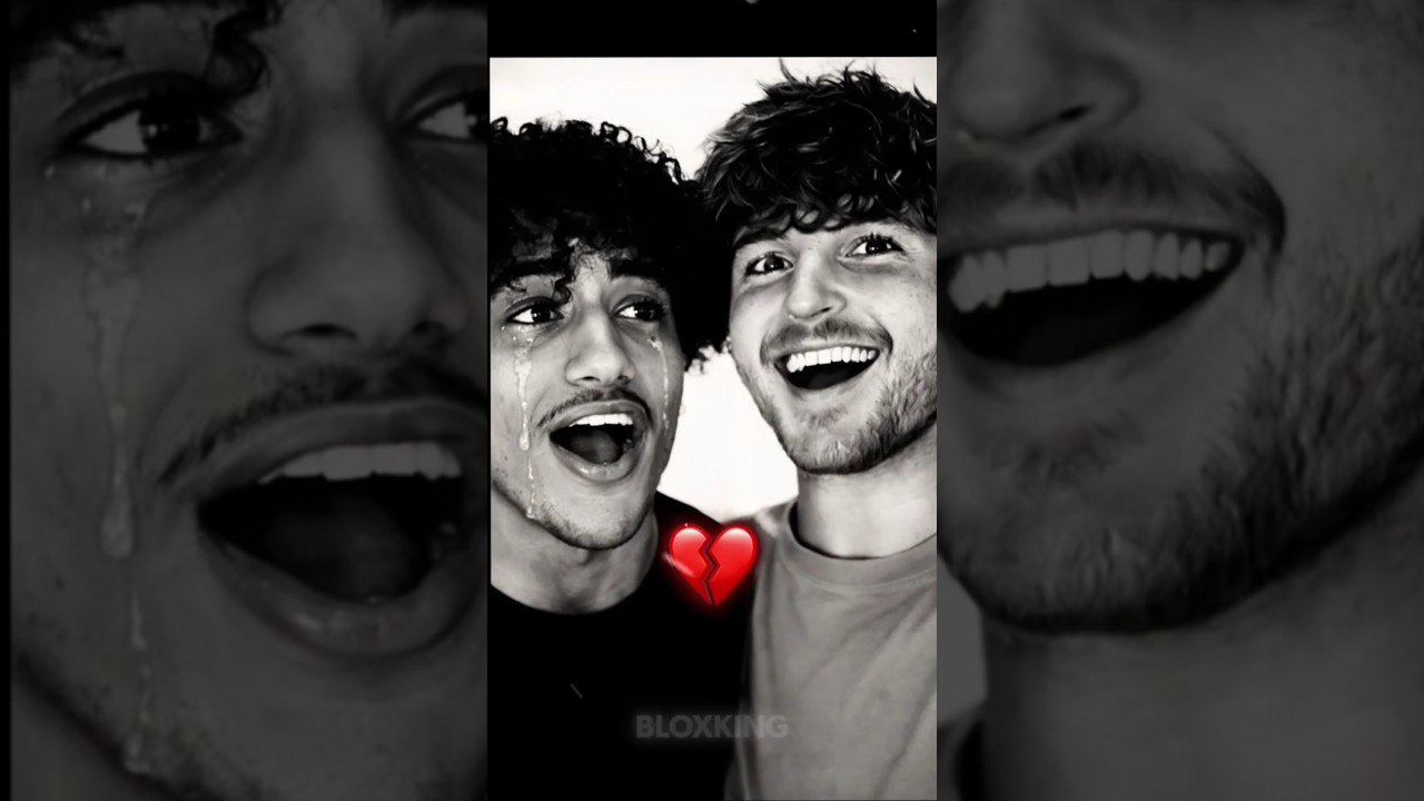 Caylus trolled Folytn in Knockout