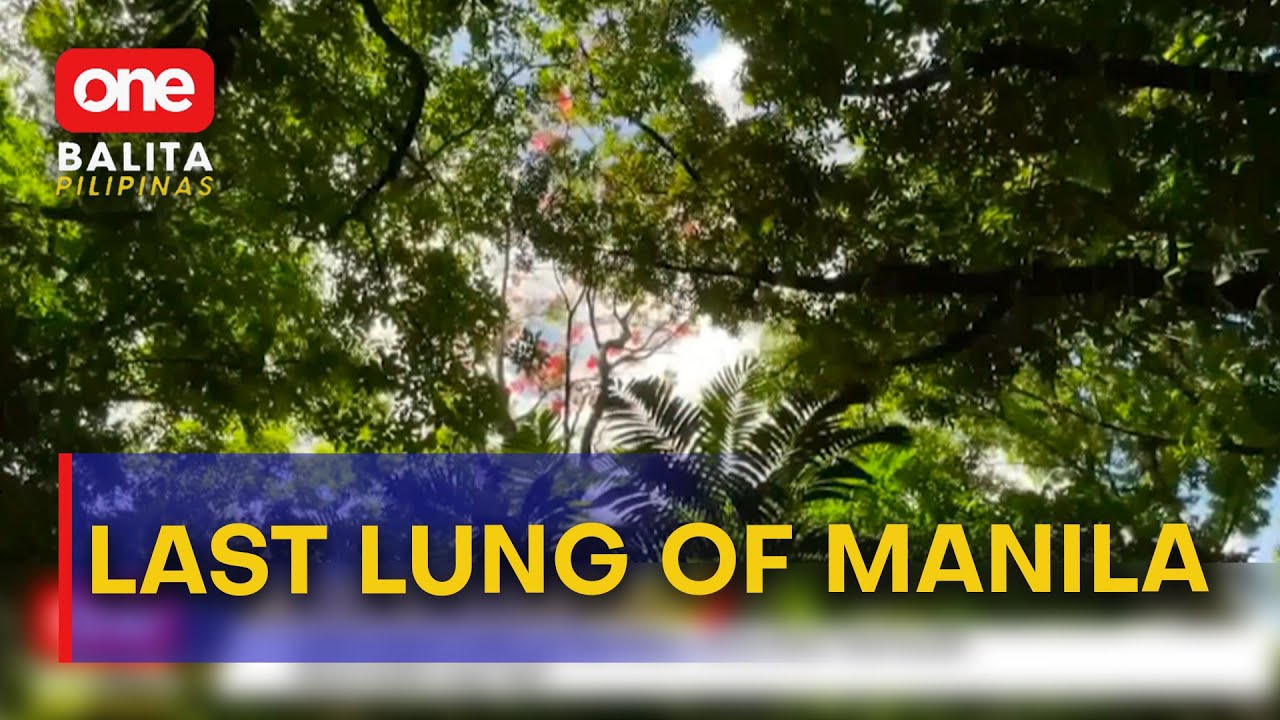 Arroceros Park sa Maynila, tinaguriang 'last lung of Manila' | One Balita Pilipinas