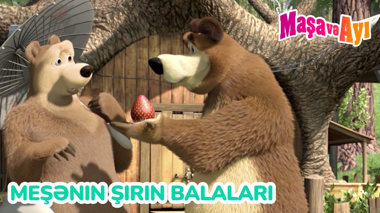 Maşa və Ayı 😍 Meşənin şirin balaları 🌳🌿  Seriyalar toplusu