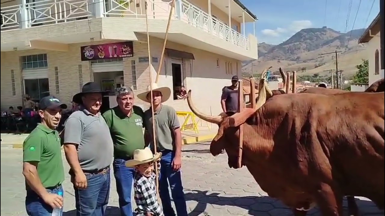 DESFILE DE CARROS DE BOI ,VIRGINIA MG