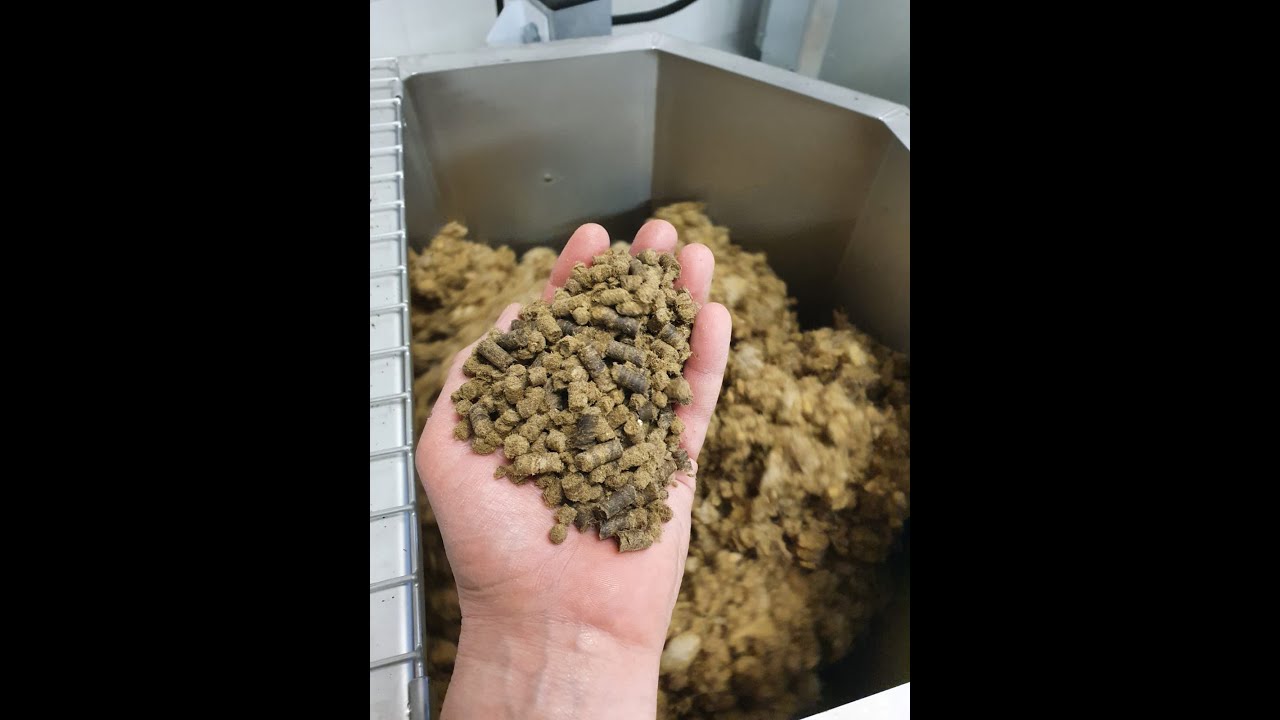 Shredding and making wool pellets