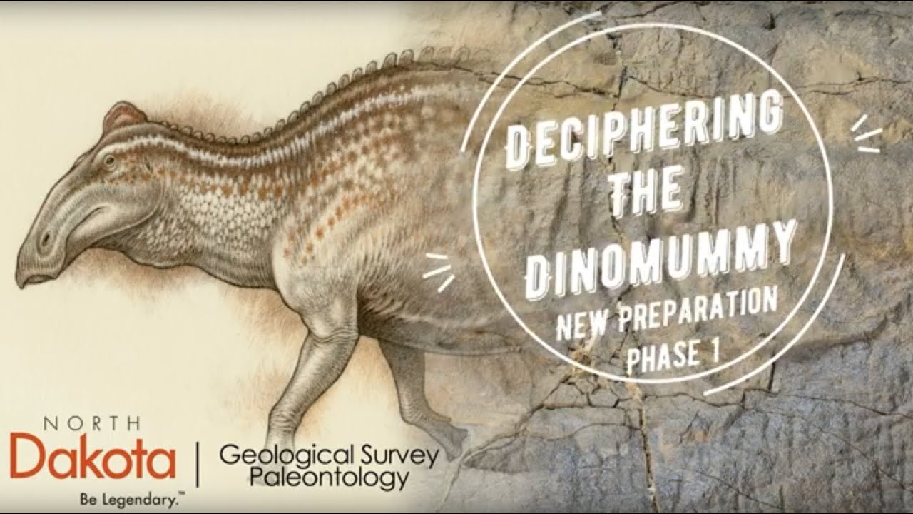 Deciphering the Dinomummy:  New Preparation Phase 1