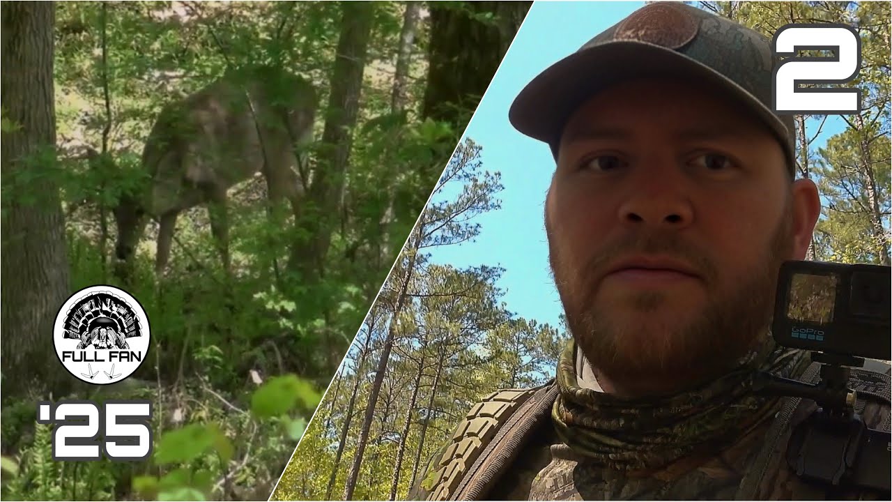 GOBBLER DRUMMING on a Hilltop | Sometimes THEY just WIN #turkeyhunting #turkeycalling #hunting  