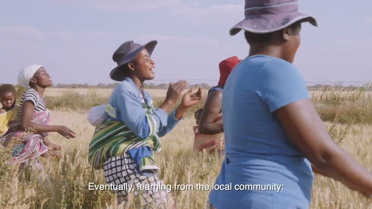 The UNDP Accelerator Labs Tackle Sustainable Development Problems with Grassroots Solutions