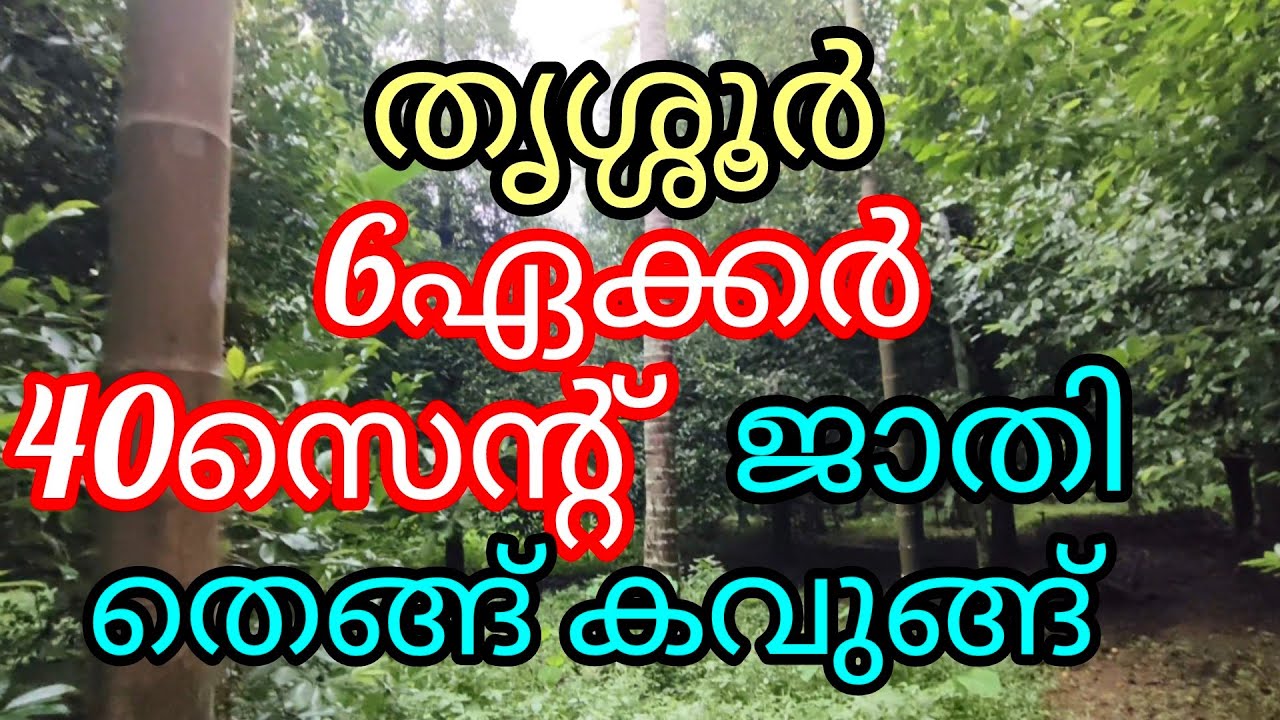 കുറഞ്ഞ വിലയുടെ സ്ഥലം 6.40ഏക്കർ ജാതി പറമ്പ് | low budget land in Thrissur |