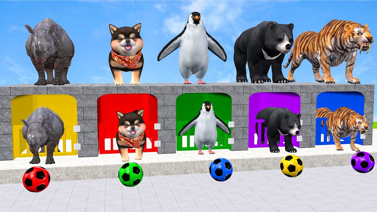 Long Slide Game with Cow Elephant Gorilla Hippopotamus Tiger 3d Animal Game Funny 3d Animals