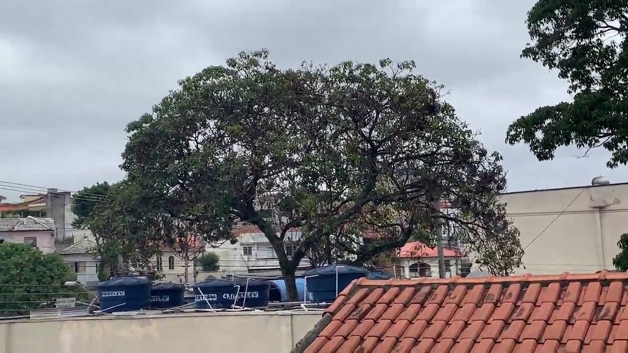 Domingo Aéreo no Campo de Marte 20/10/2019 F 5