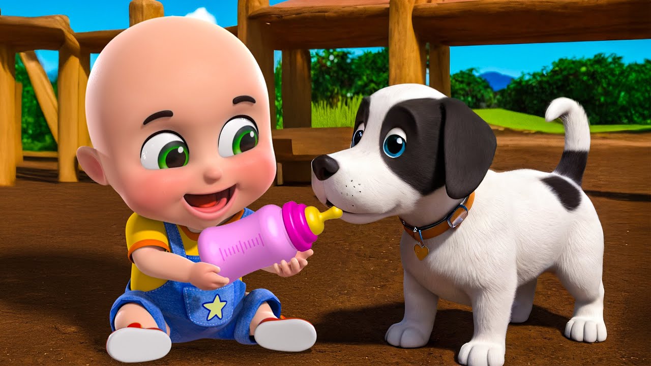 Baby Bingo Song New Compilation | Baa Baa Black Sheep | Nursery Rhymes and Kids Songs | Baby Bobo