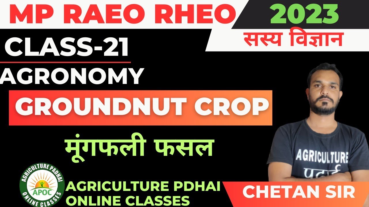 Class-21 | Groundnut Crop | मूंगफली | MP RAEO | RHEO | SADO | By Chetan Sir
