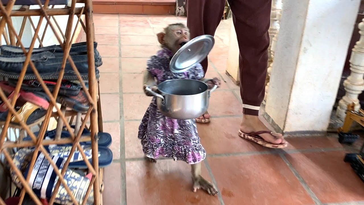 [Def Outstandnq] Judee Walking HoId Pot For Mom Cook Rice
