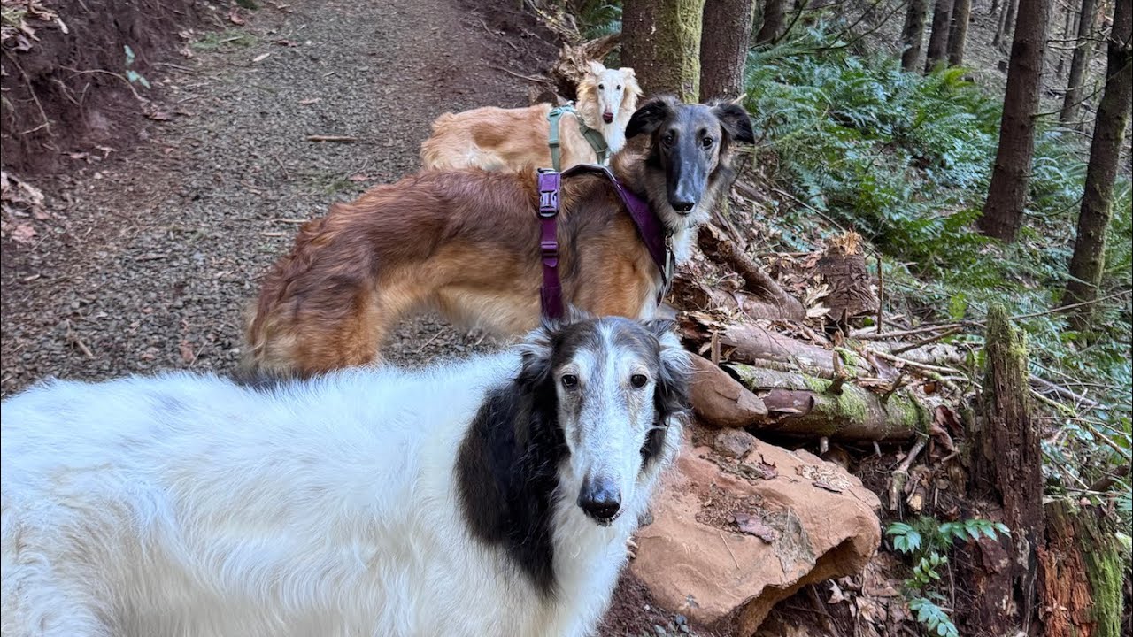 bad vlog: cleo doppelgänger 