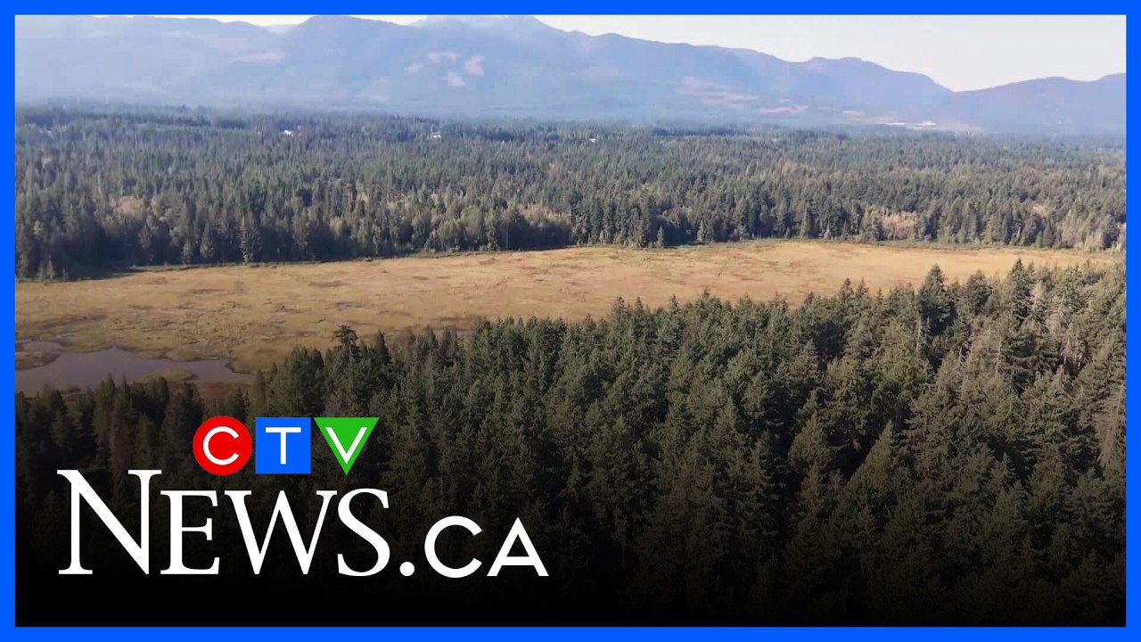 Nanaimo purchases Hamilton Marsh