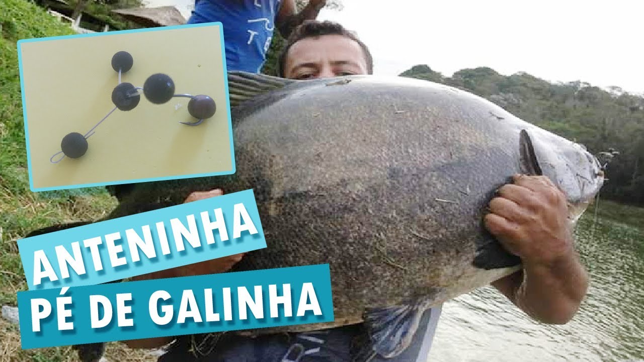 COMO MONTAR ANTENINHA PÉ DE GALINHA - THIAGO BENE