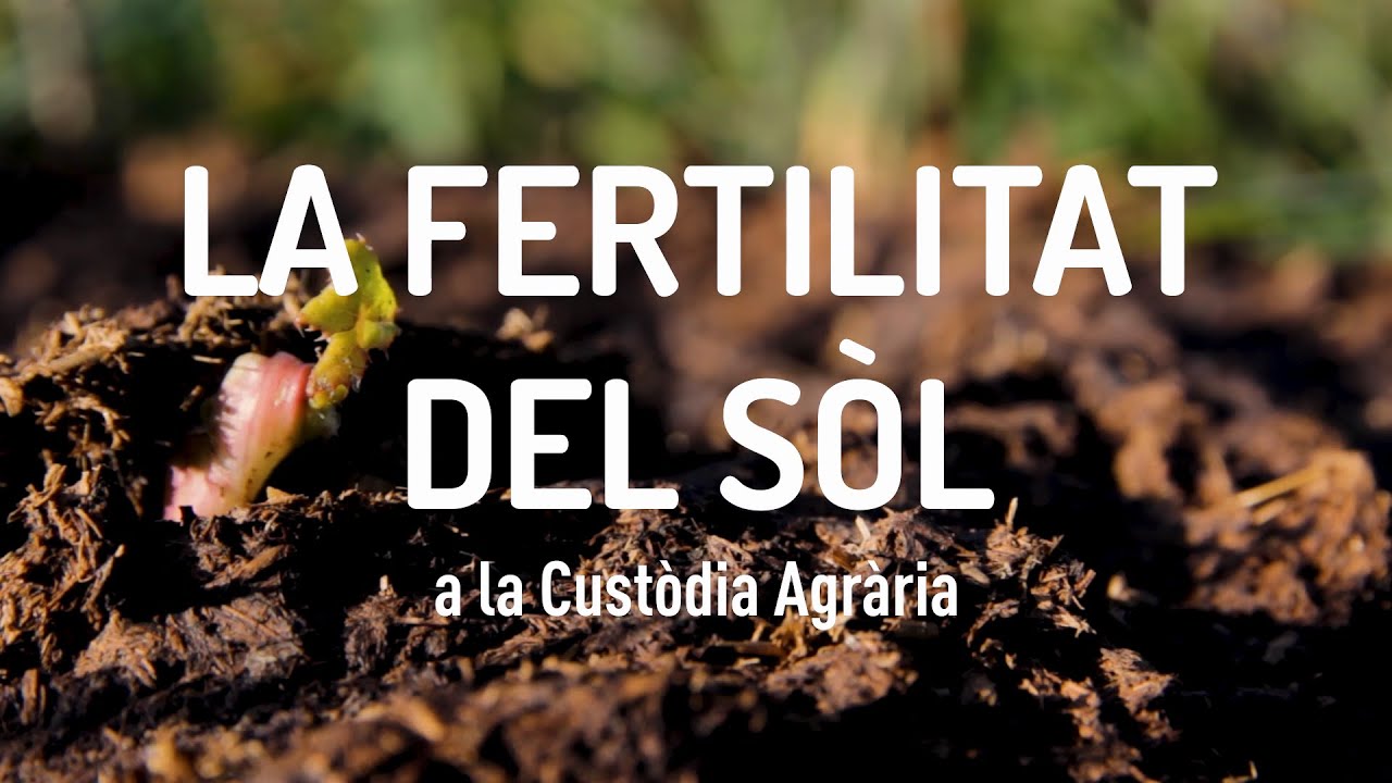 La FERTILITAT DEL SÒL a la Custòdia Agrària