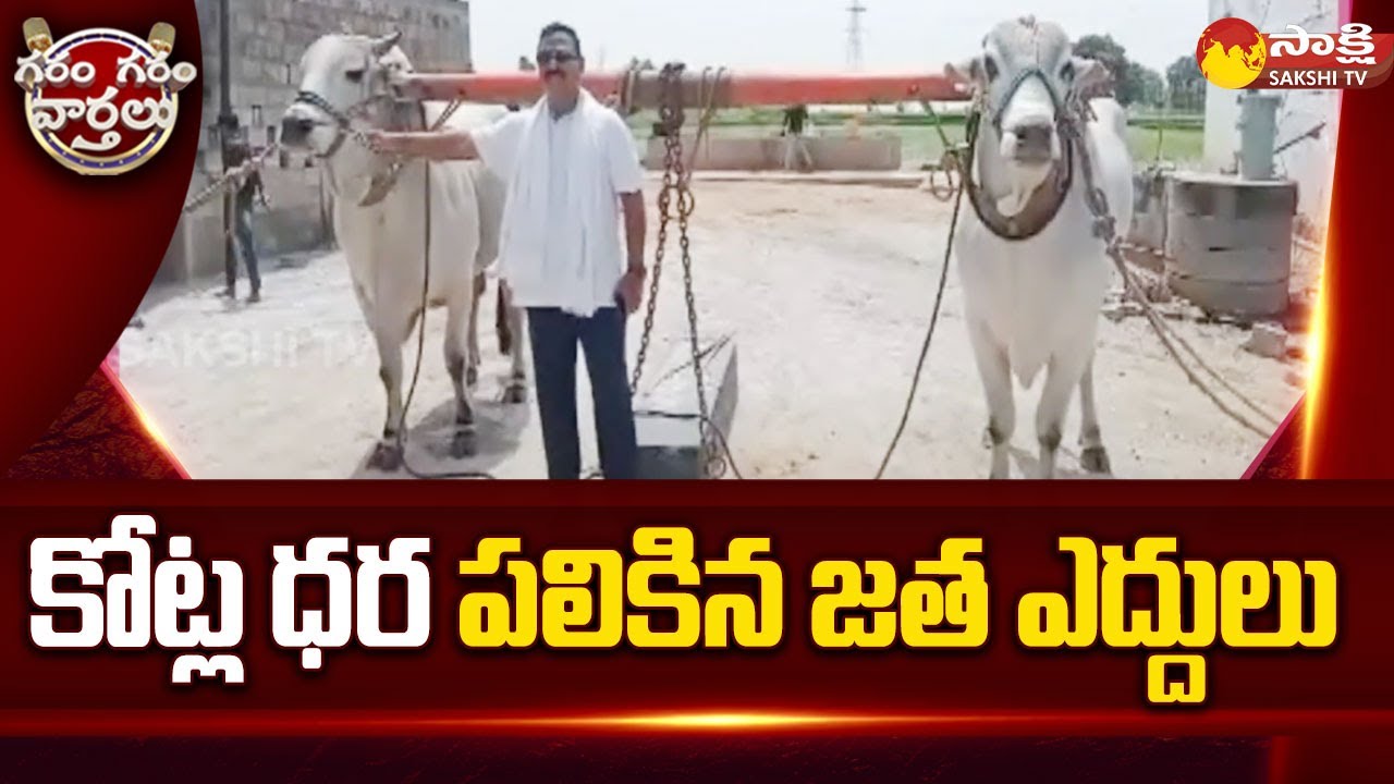 Record Price: కోట్ల ధర పలికిన జత ఎద్దులు |Bulls Sold Out At Record Price In Telangana|GGV @SakshiTV