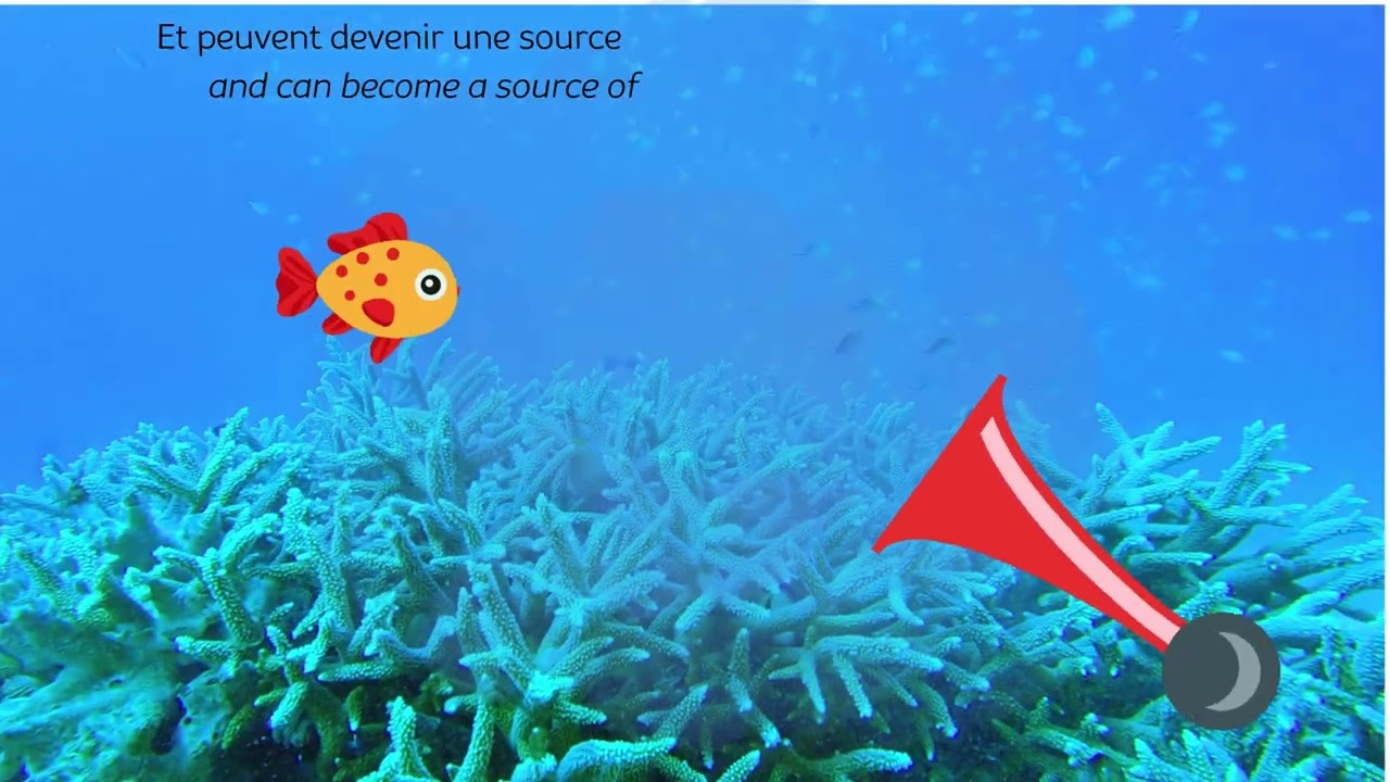 COUP DE CŒUR DU PUBLIC ÉCOLE TO’A REEF 2025 – LYCÉE LA MENNAIS