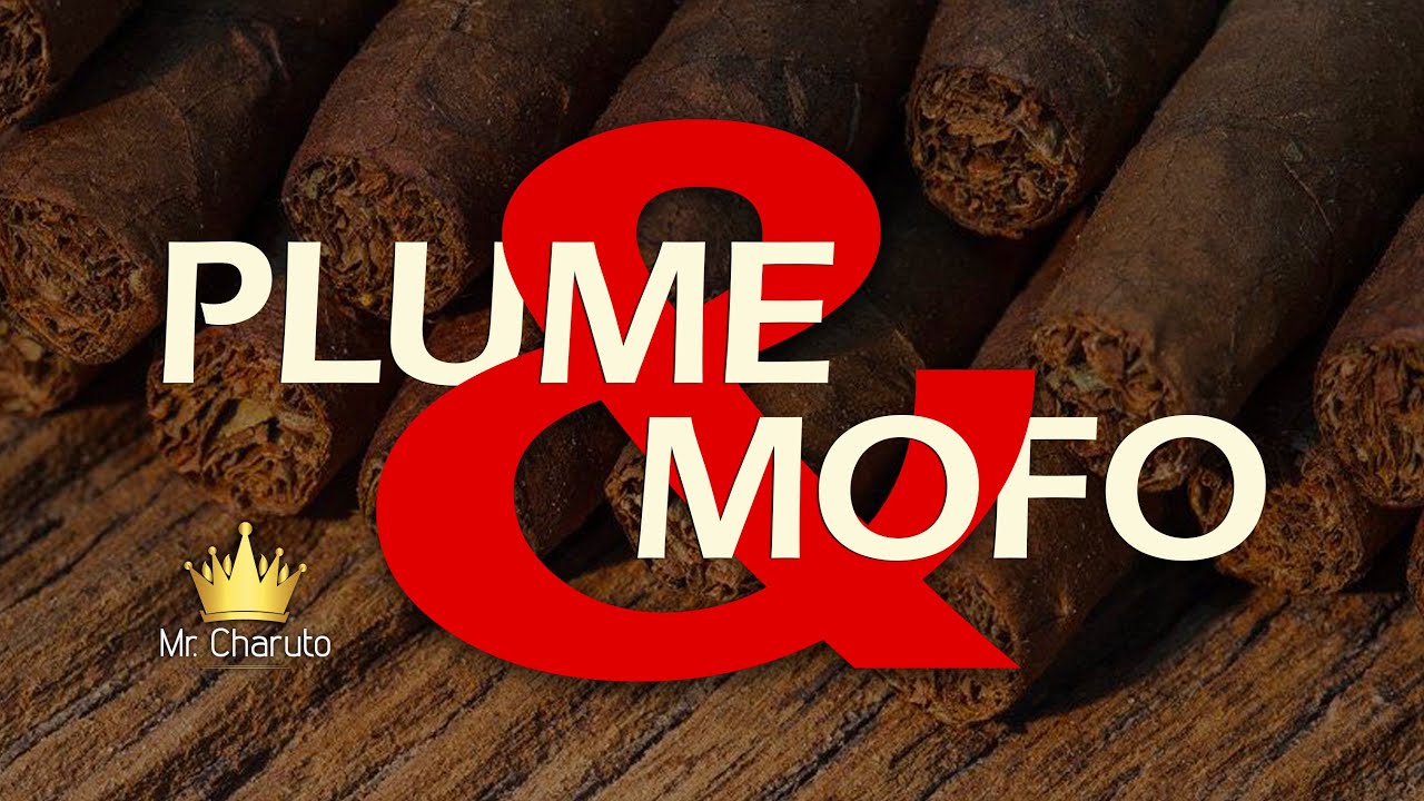Mr. Charuto - Plume & Mofo