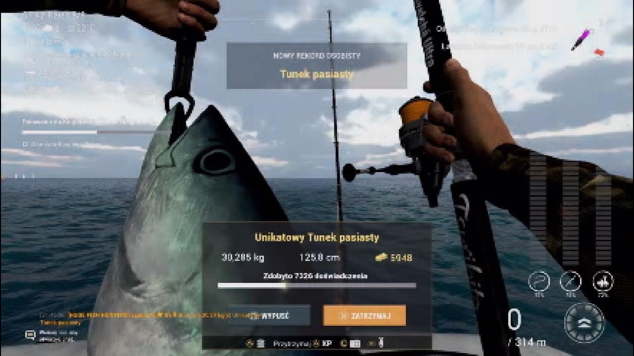 Unikatowy Tunek Pasiasty - Kaiji No Ri Japonia - Fishing Planet