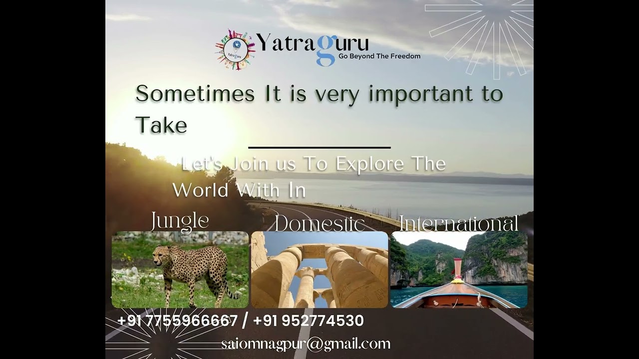 jungletour| domestictour| internationaltour|#jungletour #domestictour #internationaltourism