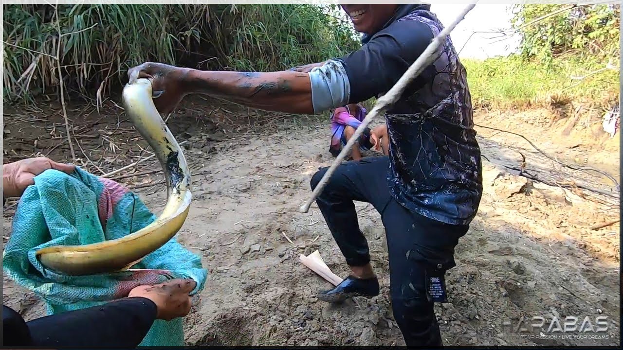 EP531-Part1 - Masayang Pangangapa ng Isda | Ginataang Igat at Hito | Occ. Mindoro