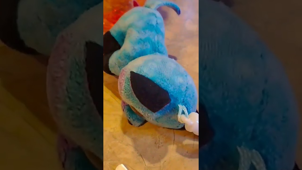 Yes, yes he does 😭 // #beanieboo#beanieboos#comedy#funny#funnyvideo#funnyvideos#animal#animals#furry