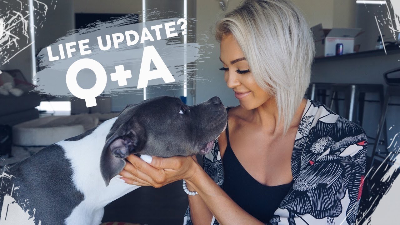 Life Update? Instagram Q&A