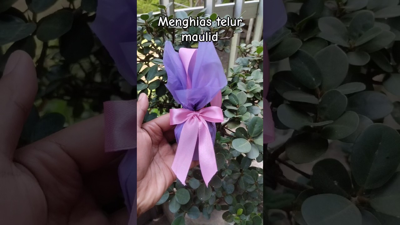 menghias telur maulid #maulidnabi #maulid #telurmaulid #bungatelur