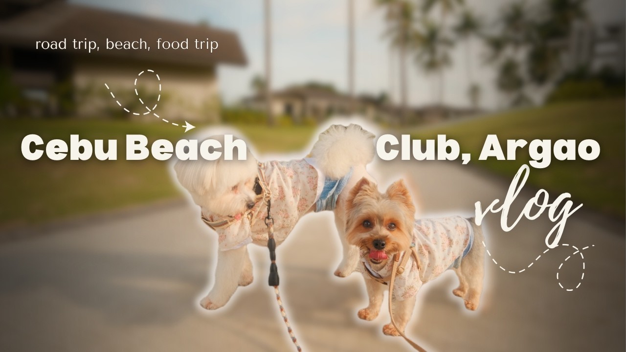 Cebu Beach Club 🌞 road trip, beach, food trip 🍕🍝🍔