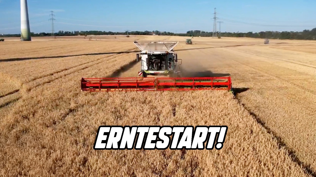 Endlich geht's los! Erntestart 2025 💪🌾 | Farming Week