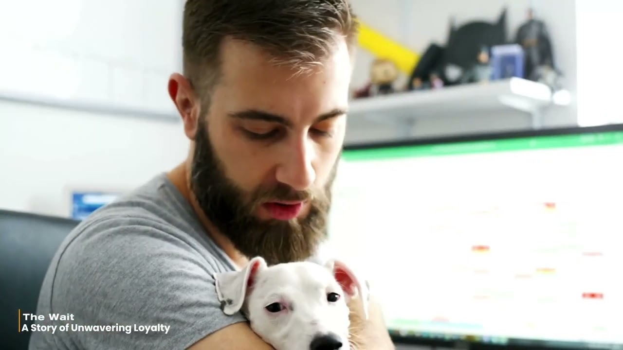 The Wait - A Heartbreaking True Story of a Dog's Unwavering Loyalty | Emotional Dog Story