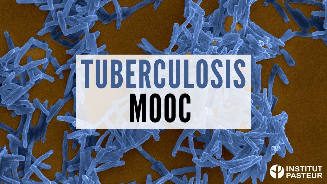 Tuberculosis MOOC - Teaser