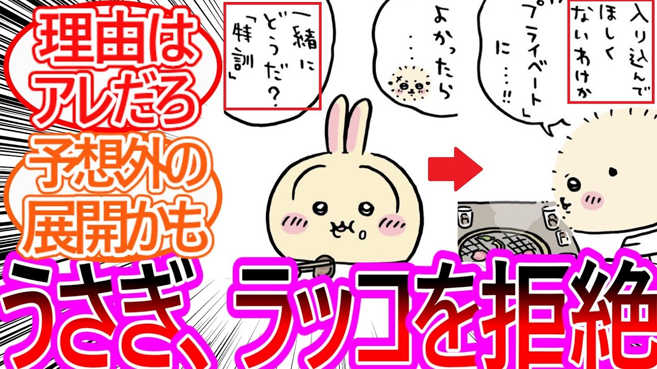 【ちいかわ】うさぎ、ラッコ先生のお誘いをバッサリと断ってしまう…に対する読者の反応集【ゆっくりまとめ】