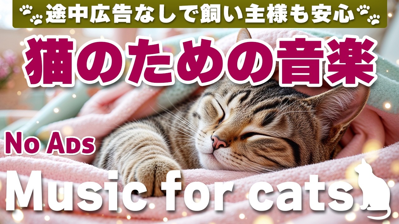 猫が落ち着く音楽｜留守番中も安心できるBGM（12時間・途中広告なし）Relaxing Music for Cats | No Ads | 12 Hours _vol.352