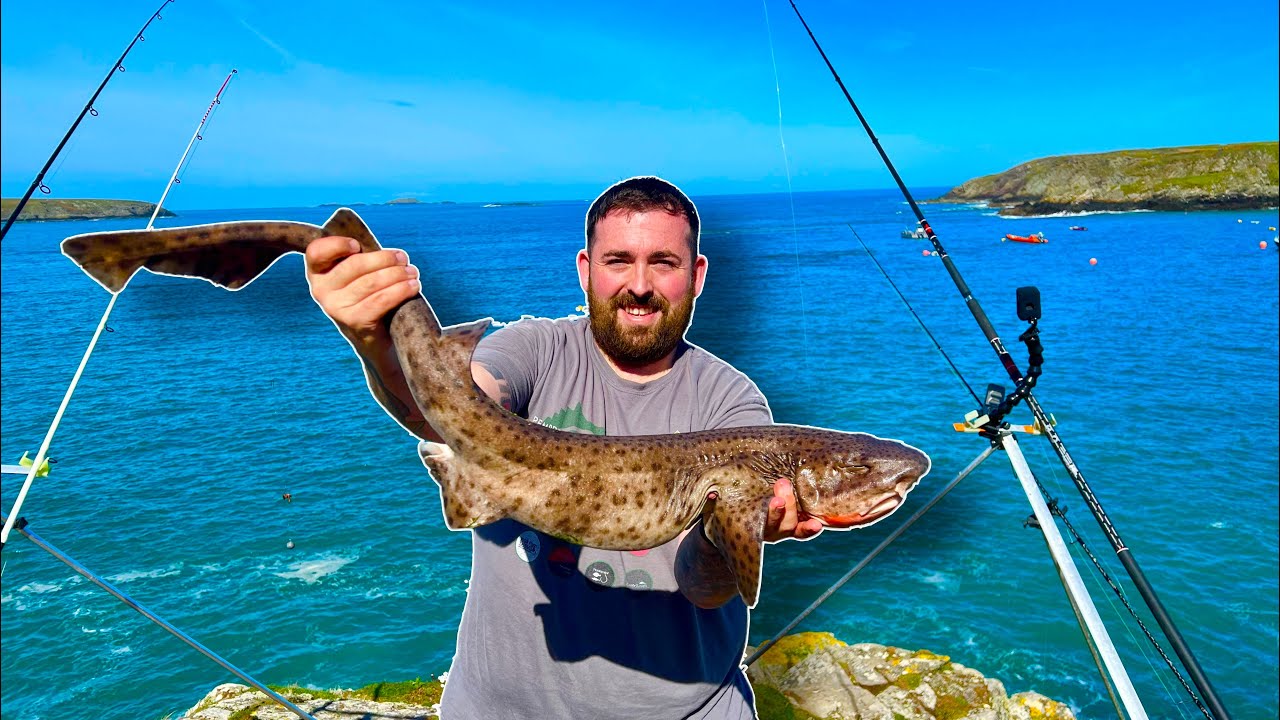 Bull Huss & Pollock Fishing | Shore Fishing North Pembrokeshire Coast
