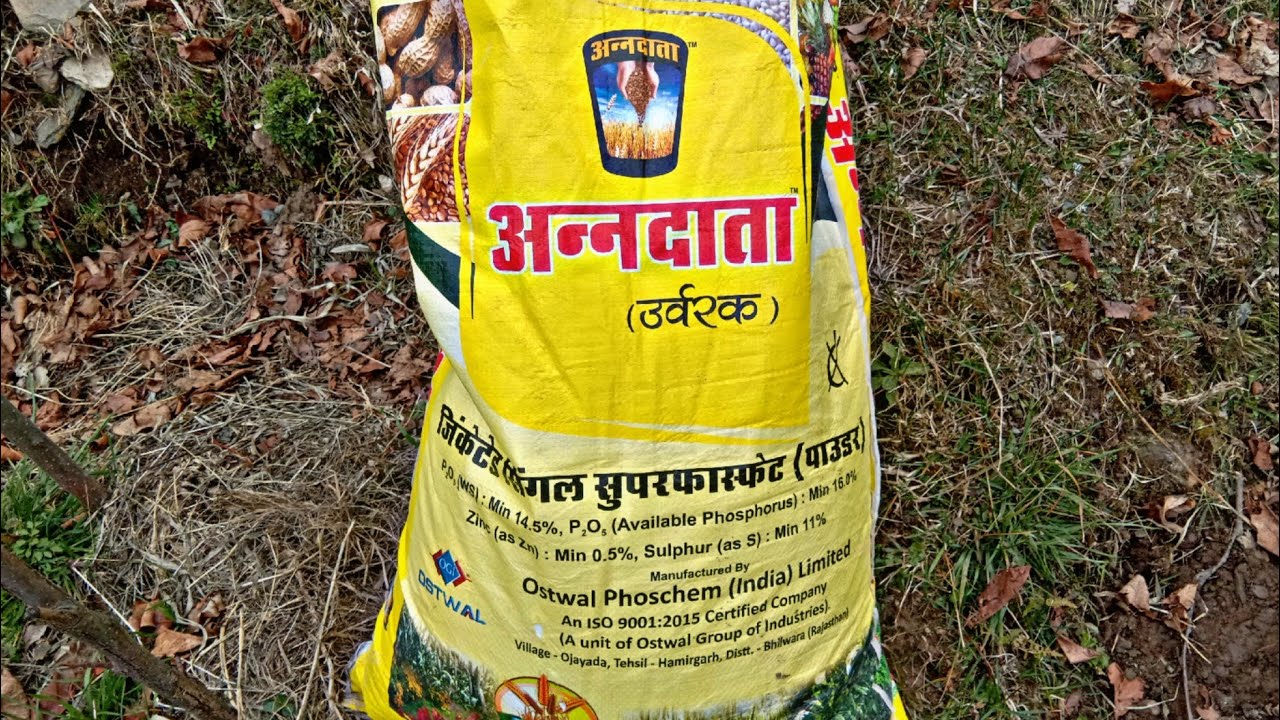 single super phosphate fertilizer (ssp)