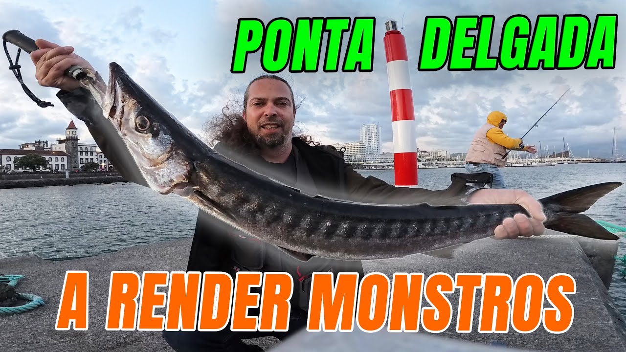 Ponta Delgada a render Monstros – Pesca espetacular de Bicuda em São Miguel