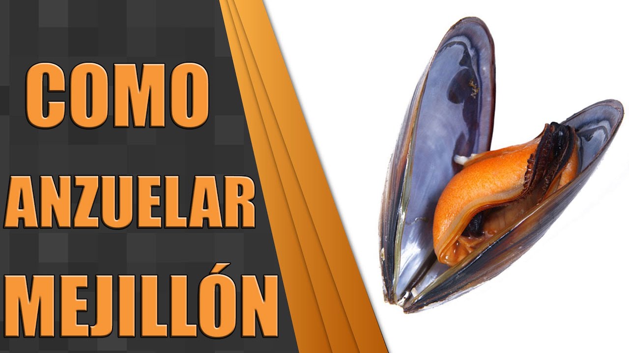 ✅ Como ENCARNAR MEJILLÓN (pesca del sargo) 🎣