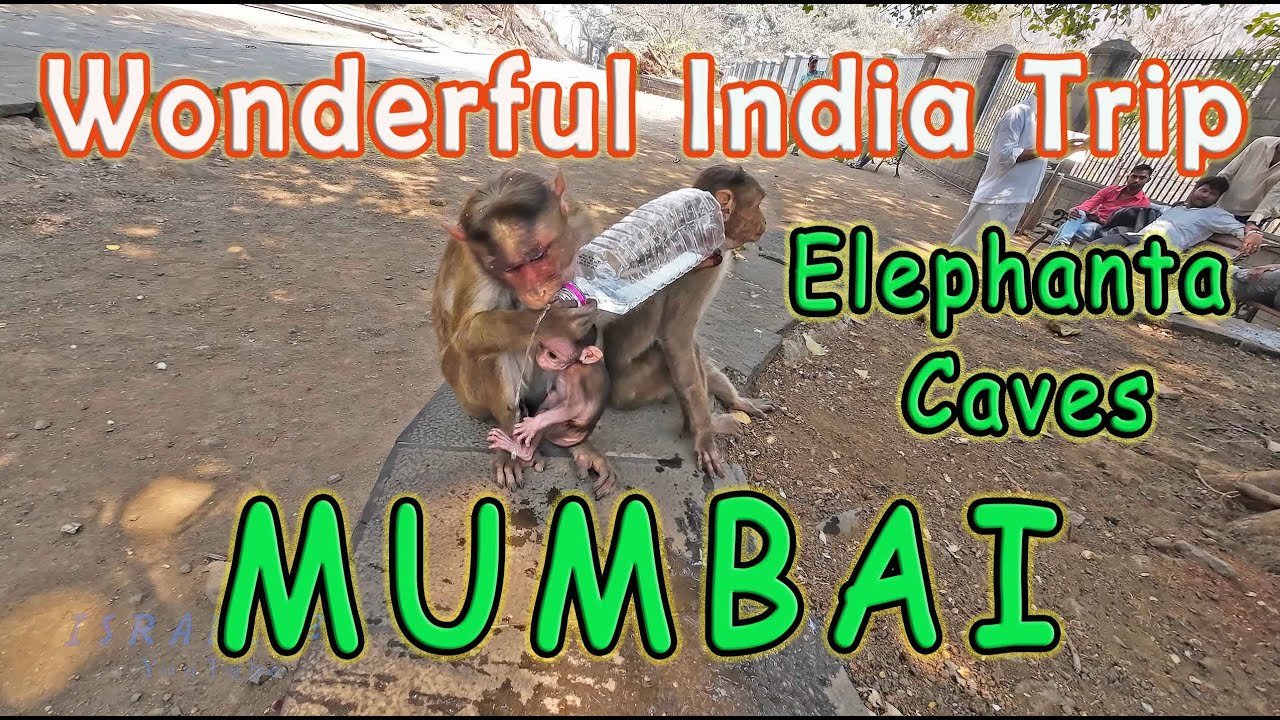 Travel India - Mumbai 2 טיול להודו
