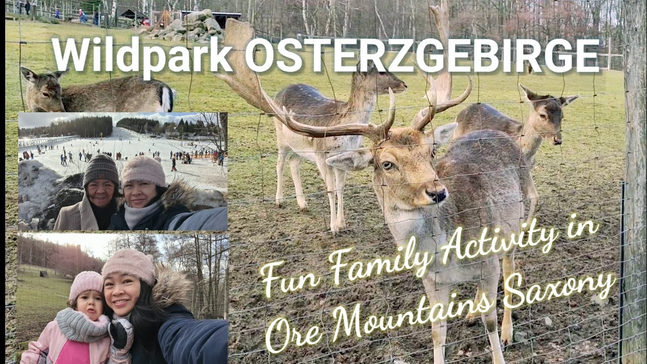 Wildpark Osterzgebirge | Family Fun Activities in Ore Mountains Saxony Germany